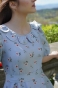 DSC00740.jpeg